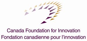CFI.logo